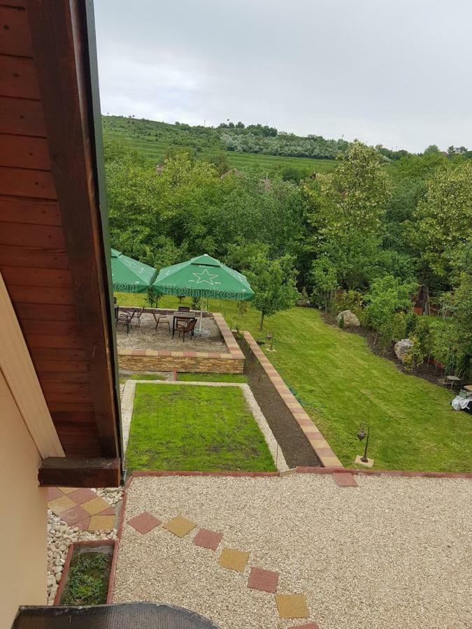 Pensiunea Brazi Torda Kültér fotó